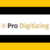 Logo du groupe Pro Digitizing UK